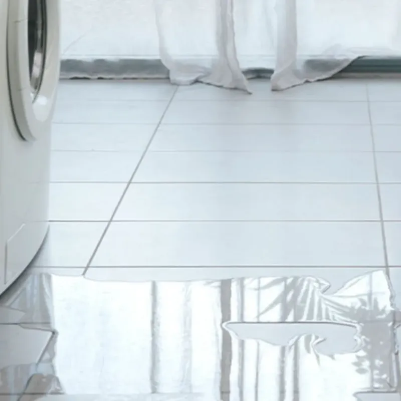 Appliance Leak Cleanup in Birch Run, MI