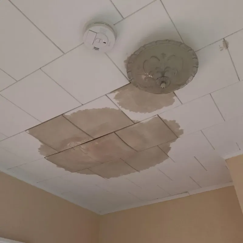 Ceiling Water Damage Repair in Birch Run, MI