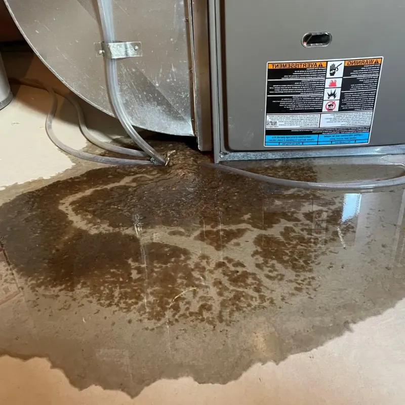 Pipe Burst and Leak Restoration in Birch Run, MI