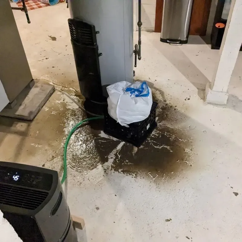 Sewage Backup Cleanup Service in Birch Run, MI